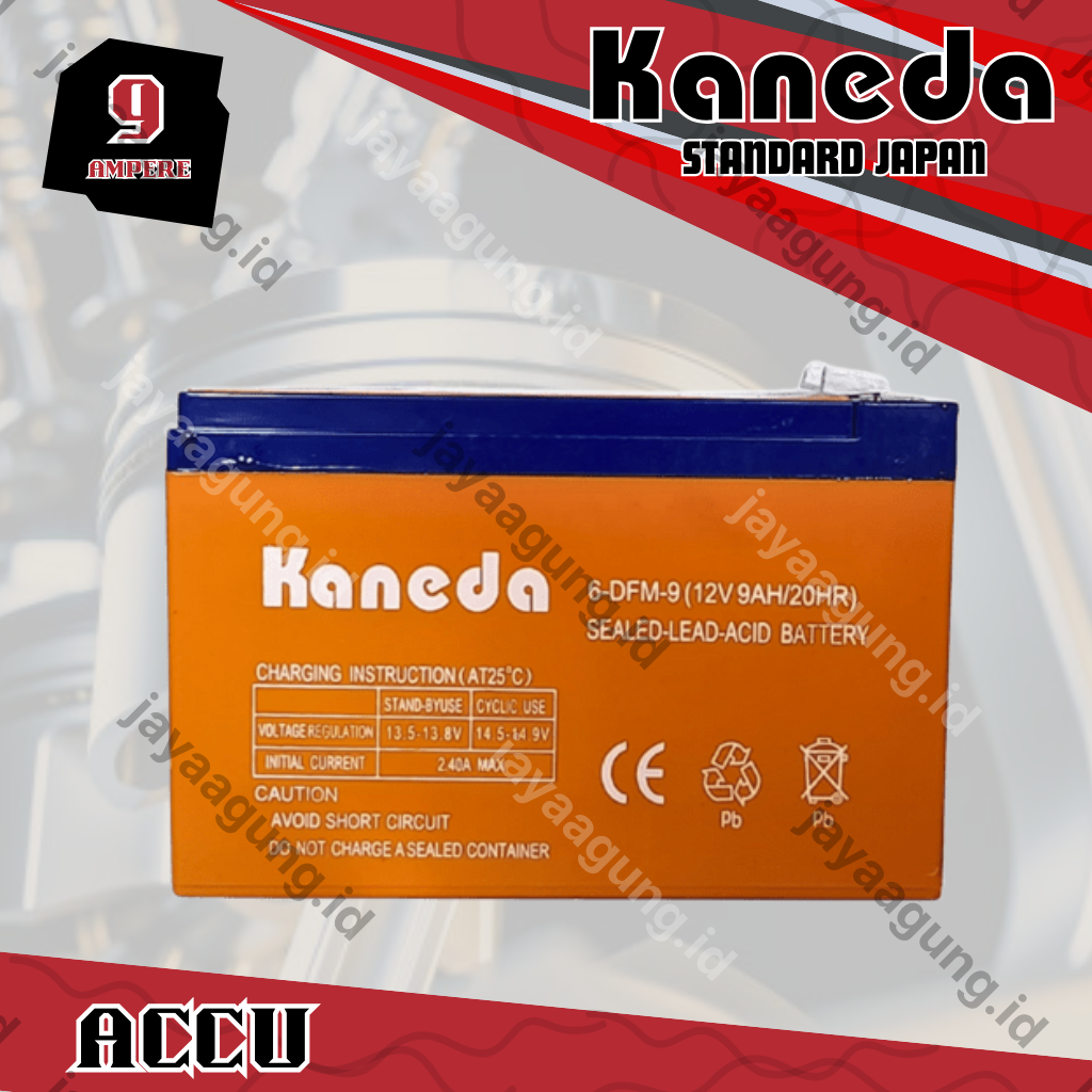 ACCU SPRAYER KANEDA 9A