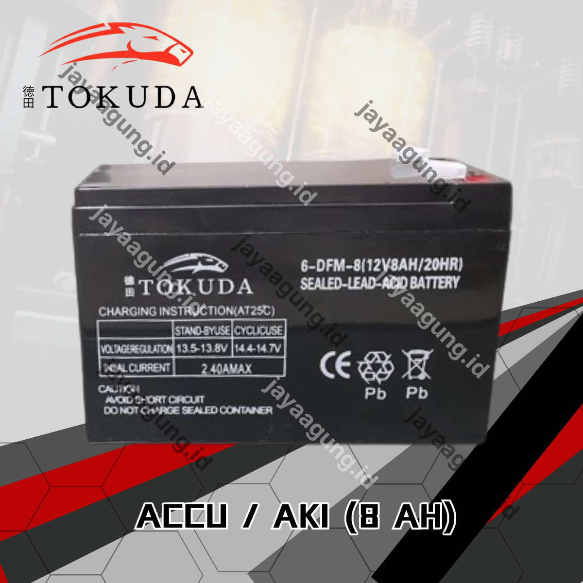 ACCU SPRAYER TOKUDA 8A